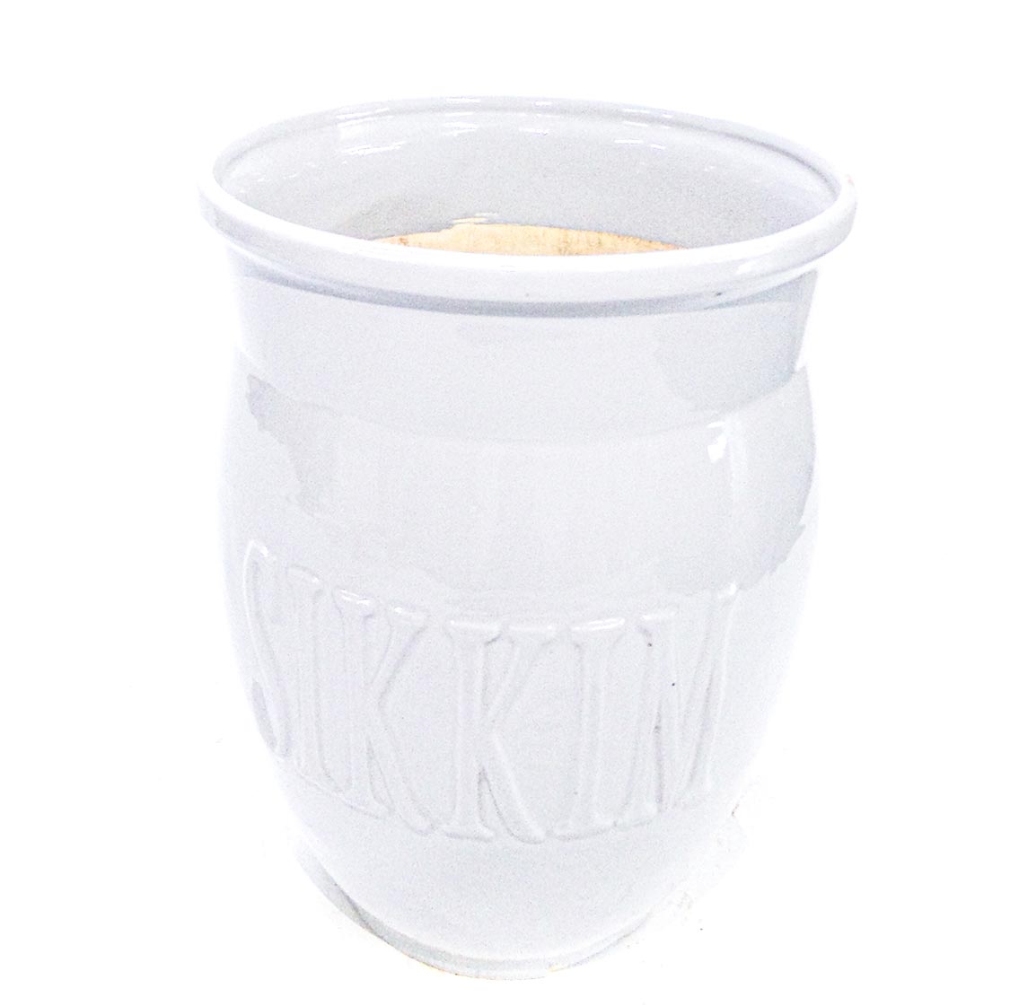 Garden Plants & Accessories