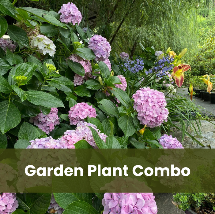 Garden Plant Combo
