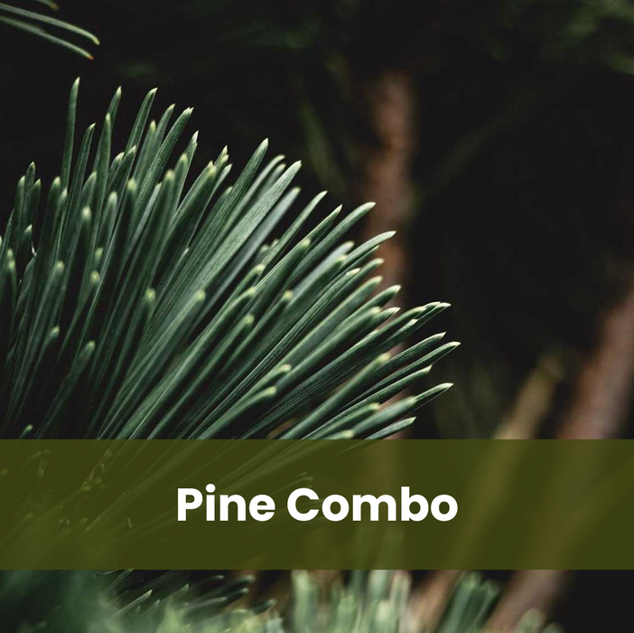 Pine Combo