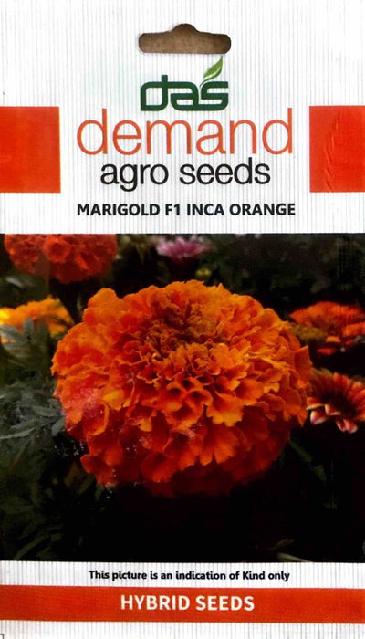 Marigold F1 Inca Orange Seeds — Mainaam Garden 1933