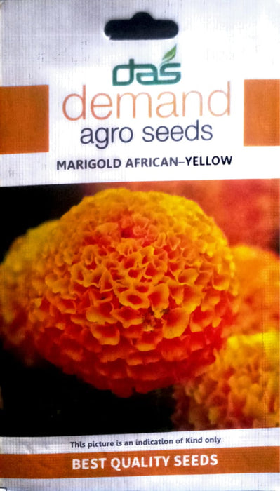 Marigold (Tegeteserecta)  African Yellow