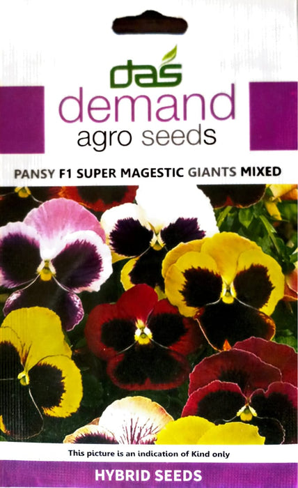 Pansy F1 Seeds Super Magistic Mix