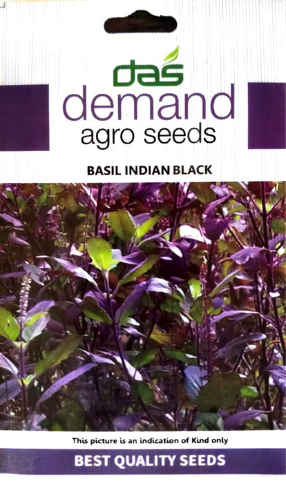 Basil Indian Black Seeds