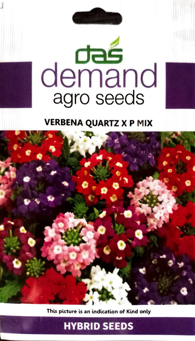 Verbena Seeds  QuartzXP Mixed