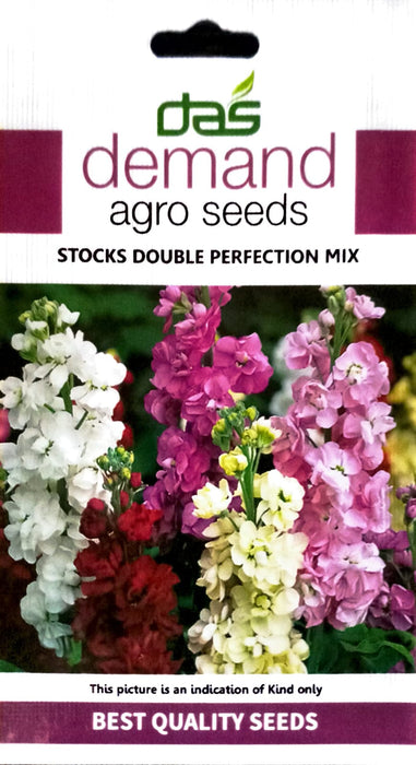 Stocks Double Perfection Mixed seeds
