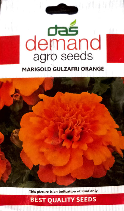 French Marigold GUIZAFRI Seeds Orange
